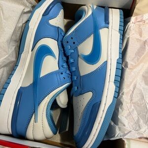 Brand new Nike dunks in blue